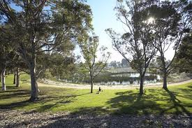 royal park wetlands